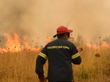 Горски пожари бушуват в Централна и Северна Гърция, евакуирани са няколко населени места