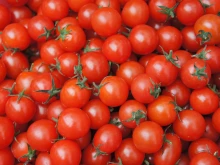 Турски, гръцки, македонски и албански чери домати подбиват цената на родните