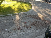 Премахнаха от пловдивски тротоар отлежавали от 3 години палети с плочки