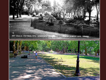 Вижте кът във Варна, който е бил като кралска ботаническа градина преди 80 години