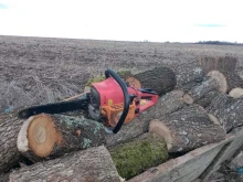 Над 31 кубика незаконна дървесина са конфискували от СЗДП-Враца