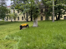 В Русе: Общинските екипи продължават дейностите по косене на тревните площи и през настоящата седмица