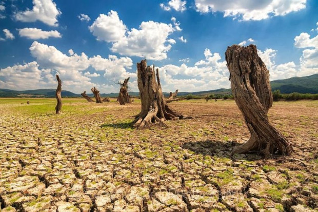 Два са основите фактора за опустиняването на сушата покачванто на