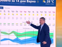 Проф. Рачев: Пловдив е едни гърди пред София