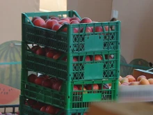 Вносът от Турция и Гърция диктува и цените на българските стоки, розовият домат е най-скъп