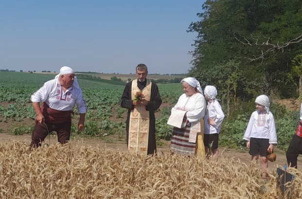 TD В тутраканското село Белица се проведе колоритен ритуал Първа жътва Емблематичното за