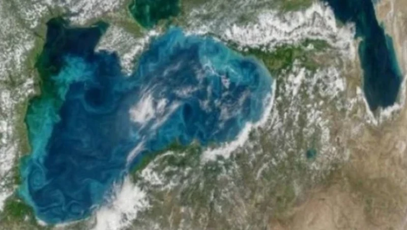 Черно море промени цвета си - фитопланктонът е виновен