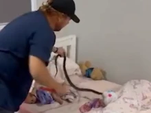 Ужас! Змия в детско легло