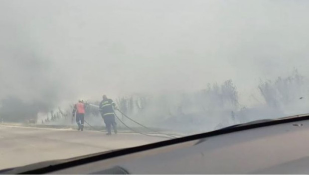 Огромен пожар гори в момента край Варна Пламнали са насаждения