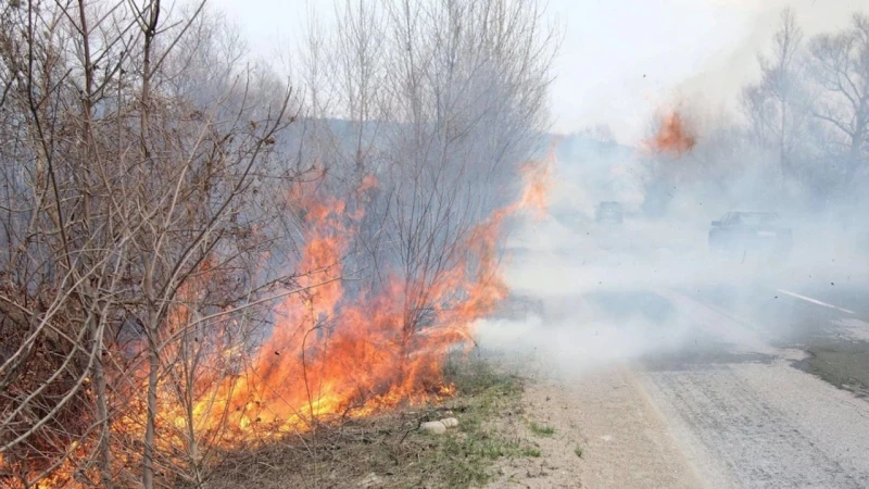 Голям пожар затвори пътя между плевенски села