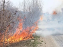 Голям пожар затвори пътя между плевенски села