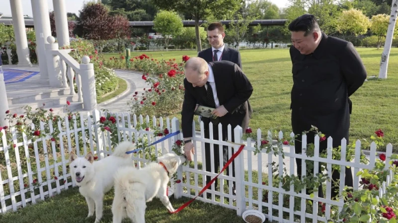 Путин беше награден с Ордена на Ким Ир Сен и получи като подарък две кучета