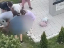 Питбул нападна майка с бебешка количка и уби по-малко куче