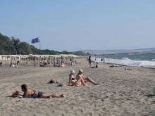 Ранни медузи нападнаха бреговете в Бургаско