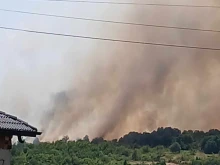 Голям пожар гори до пазарджишкото село Боримечково