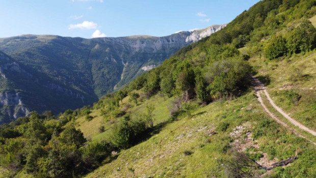 Турист е загинал в Западна Стара планина снощи потвърди ПСС