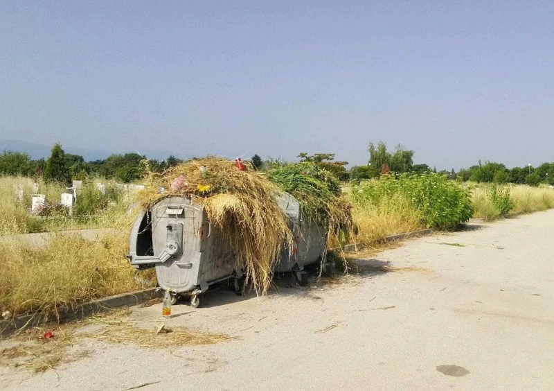 Гробищата в Пловдив в окаяно състояние