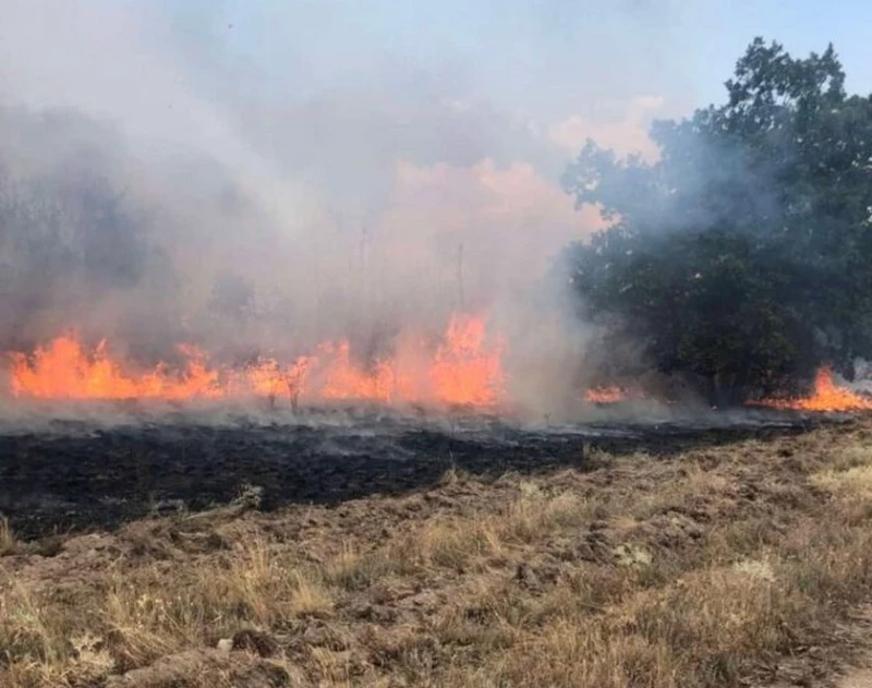 Обявено е бедствено положение в общините Харманли и Любимец заради пожари