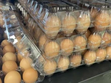Експерт: Украинските яйца са много по-евтини от нашите, на едро в момента са около 0,18 лв. за M и L размер