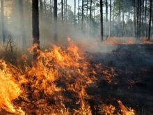 АПИ ограничи движението в отсечка в близост до пожарите в Сакар