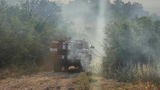 Големи горски пожари горят в Сакар Огнената стихия застраши и