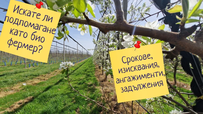 Всичко основно за биологичните интервенции на едно място