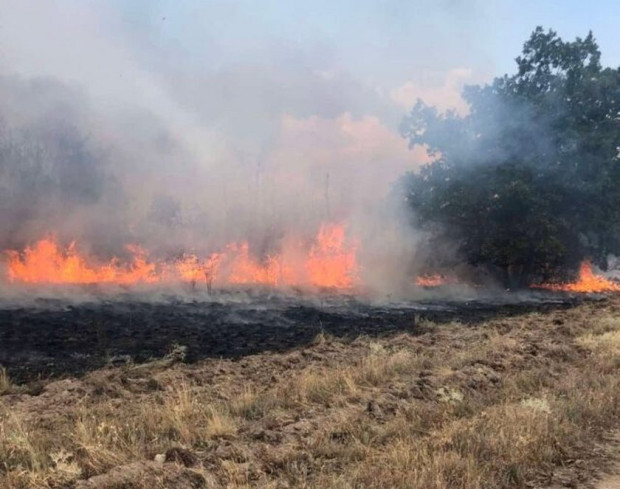TD Пожар в местността Батака в землището на село Твърдица