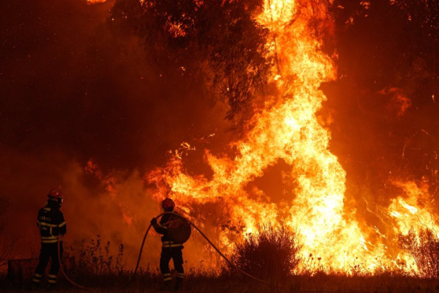 Големият пожар който днес пламна до Варна е локализиран съобщиха
