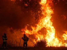 Пожарът край Варна е потушен