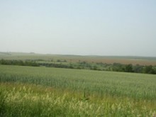 Фонд “Земеделие" изплати субсидиите и краткосрочните заеми за 2010 г.