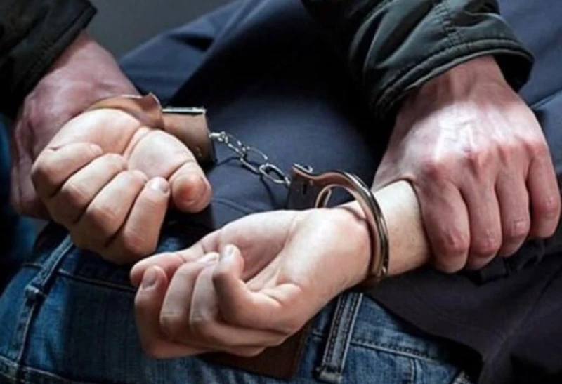 Софийски полицаи заловиха "авторите" на три кокошкарски кражби в района на общината