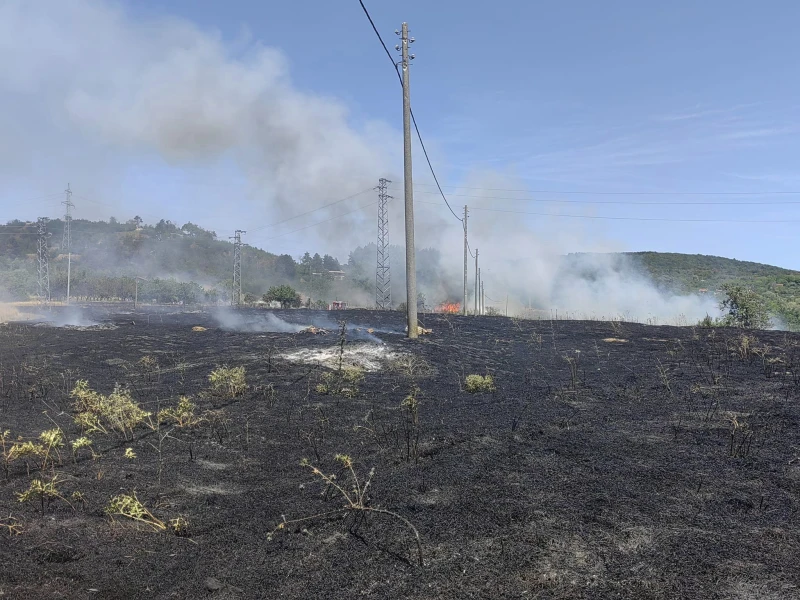 Мъж показа зловещи кадри от огромния пожар, който вилня край Варна