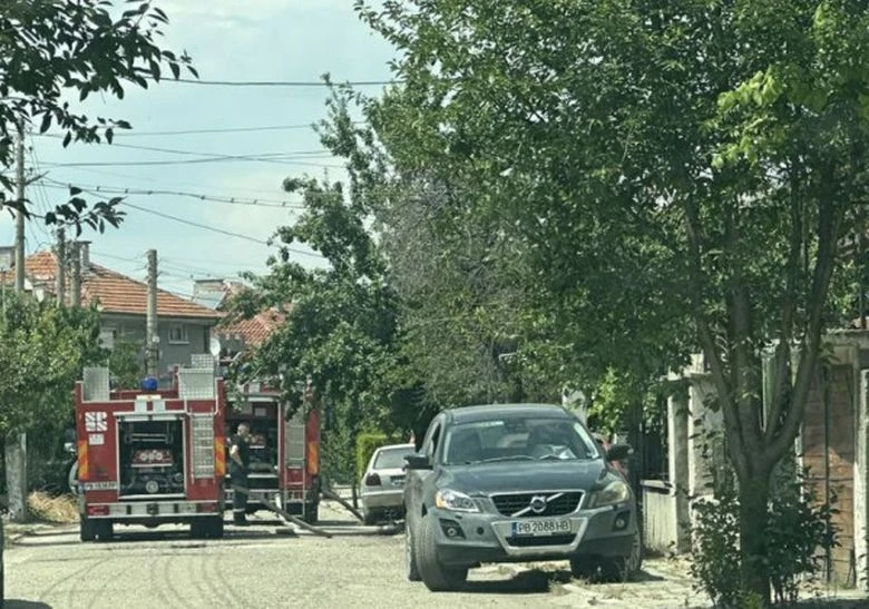 Пожарът край Пловдив е потушен