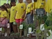 ������ ������ � ������ ������� ���������� ���-������� �� ���� � ����� ��� ���������