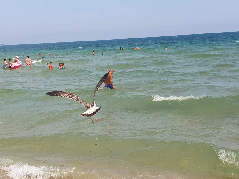 Туристи с дете щяха да останат без лятната си почивка на морето