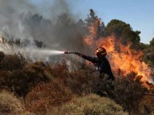 Евакуираха жителите на 10 населени места край Атина заради огромен горски пожар