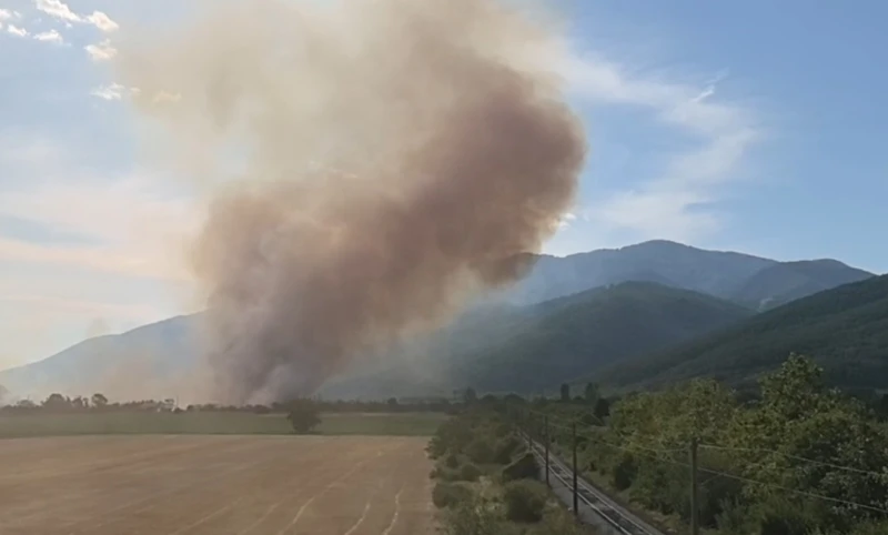 Голям пожар в Старозагорско, опасно близо до борова гора