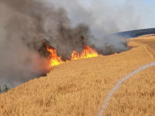 Голям пожар до газоразпределителна станция край Пловдив