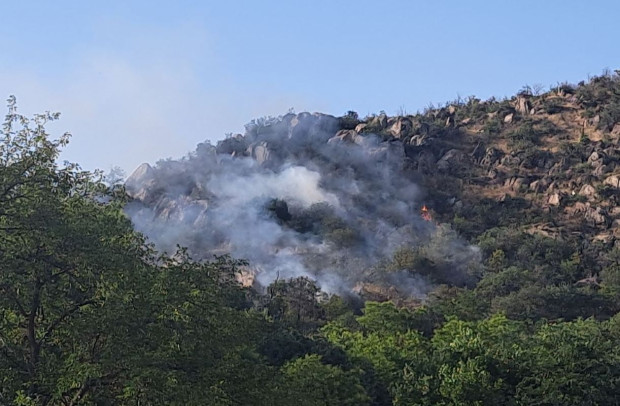 Първи кадри и информация за естеството на пожара на Младежкия хълм