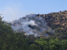 Първи кадри и информация за естеството на пожара на Младежкия хълм