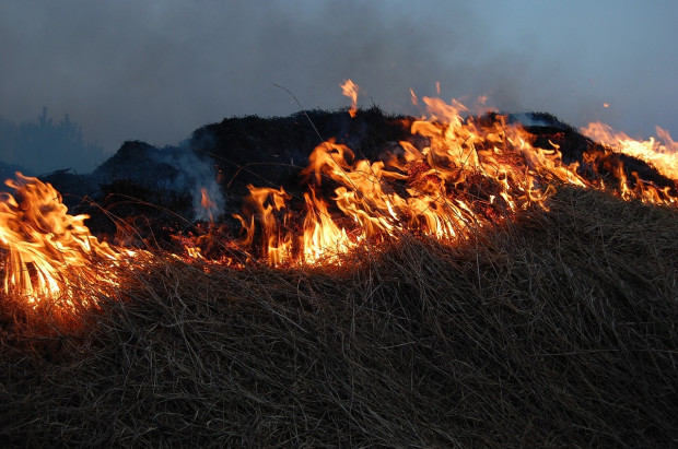 Над 50 пожара са регистрирани в Старозагорско през уикенда