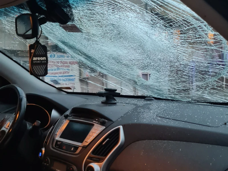 Дърво се стовари върху движещ се автомобил в Пловдив