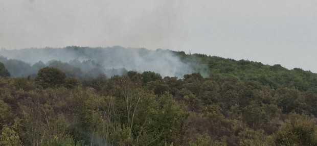 Община Стара Загора осигури храна на огнеборците по време на пожарите през вчерашния ден