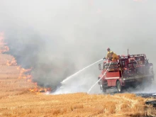 Щъркел подпали село край Добрич