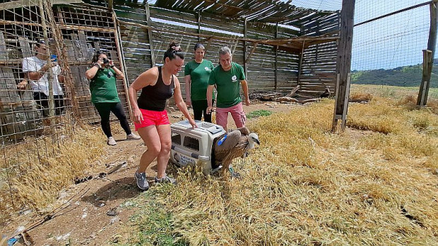Започва дарителска кампания за набиране на средства за Зоопарка в Стара Загора