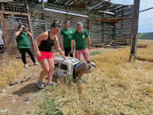 Започва дарителска кампания за набиране на средства за Зоопарка в Стара Загора