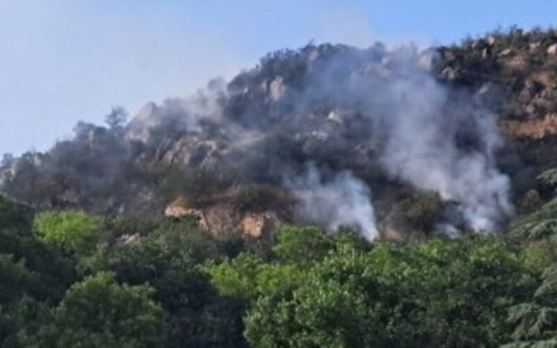 TD Отново има пожар на Младежкия хълм в Пловдив предадоха