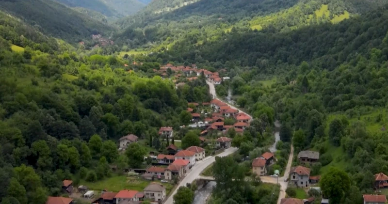 Едно от трите плесенни сирена в Европа се произвежда в България