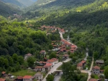 Едно от трите плесенни сирена в Европа се произвежда в България