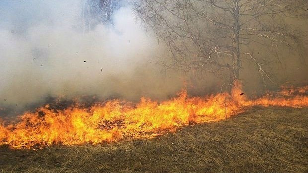 TD Голям пожар е избухнал край бургаския квартал Банево Горят